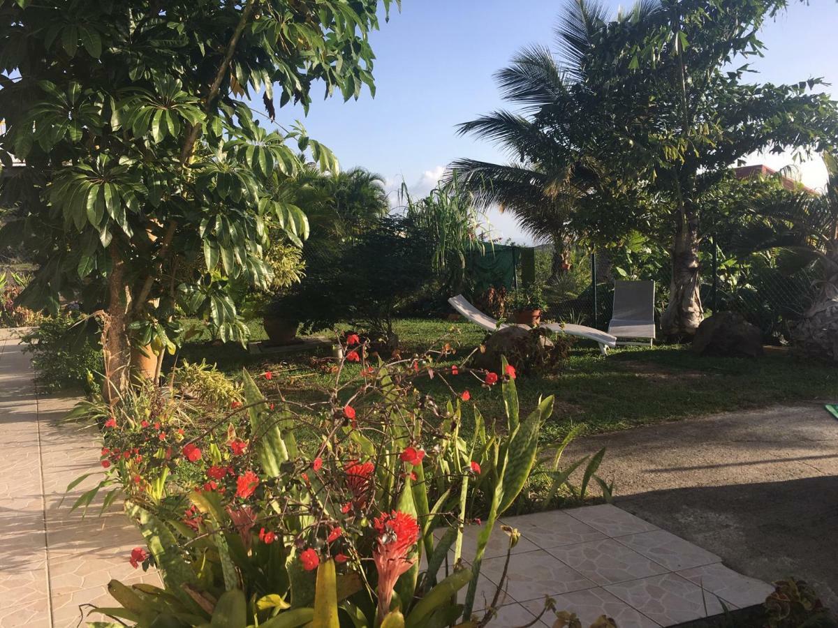 Villa A Rabica - Extrait De Cafe Pointe-Noire Exterior photo